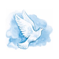 Knut Eirik Kongsvoll